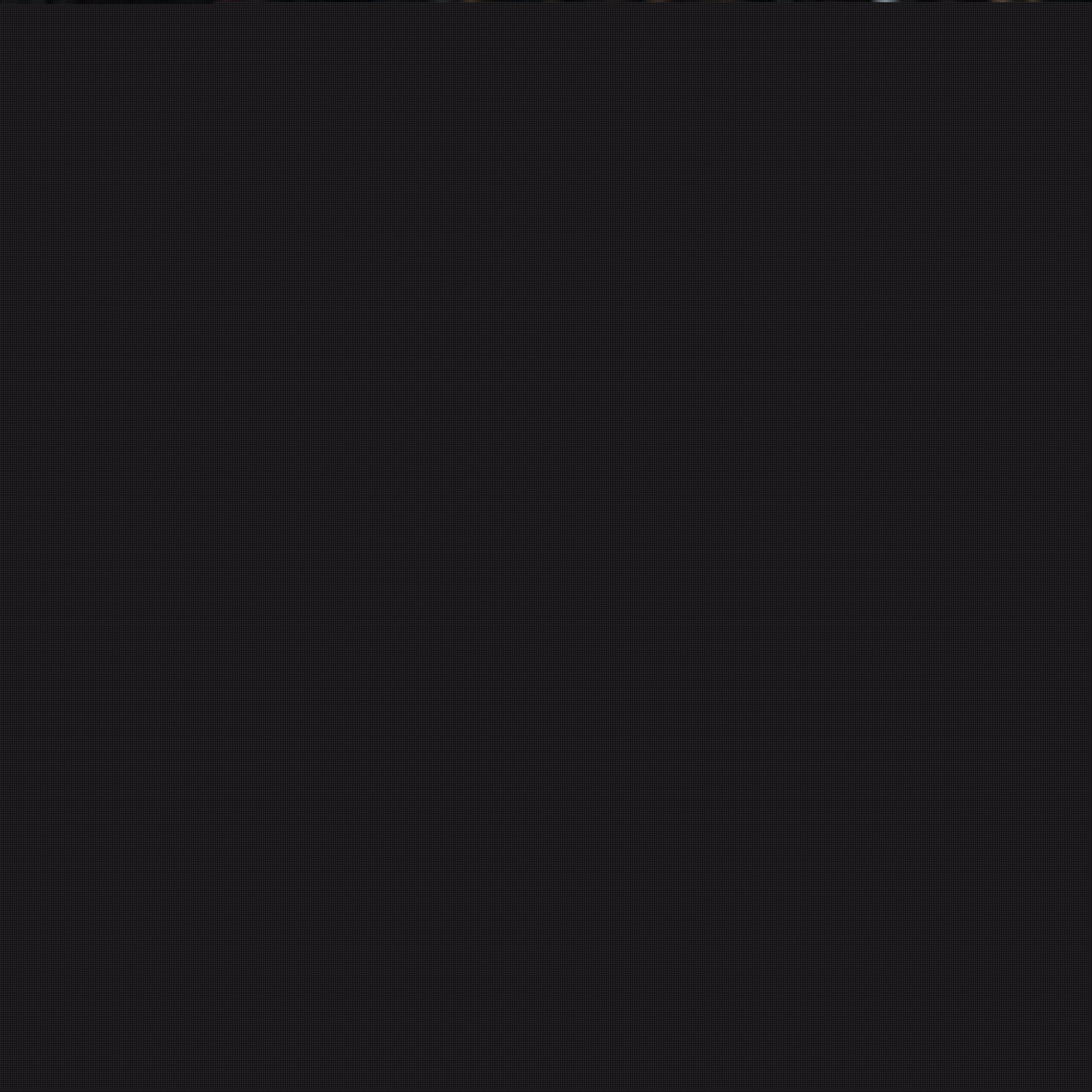 比赛的另一