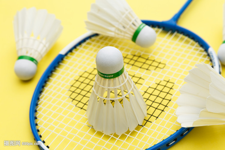 形成互补 形成互补